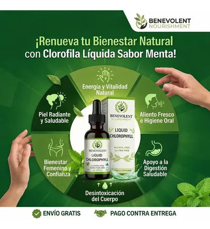 Clorofila Benevolent Concentrada 60 ml – Purifica Tu Cuerpo y Aumenta Tu Energía